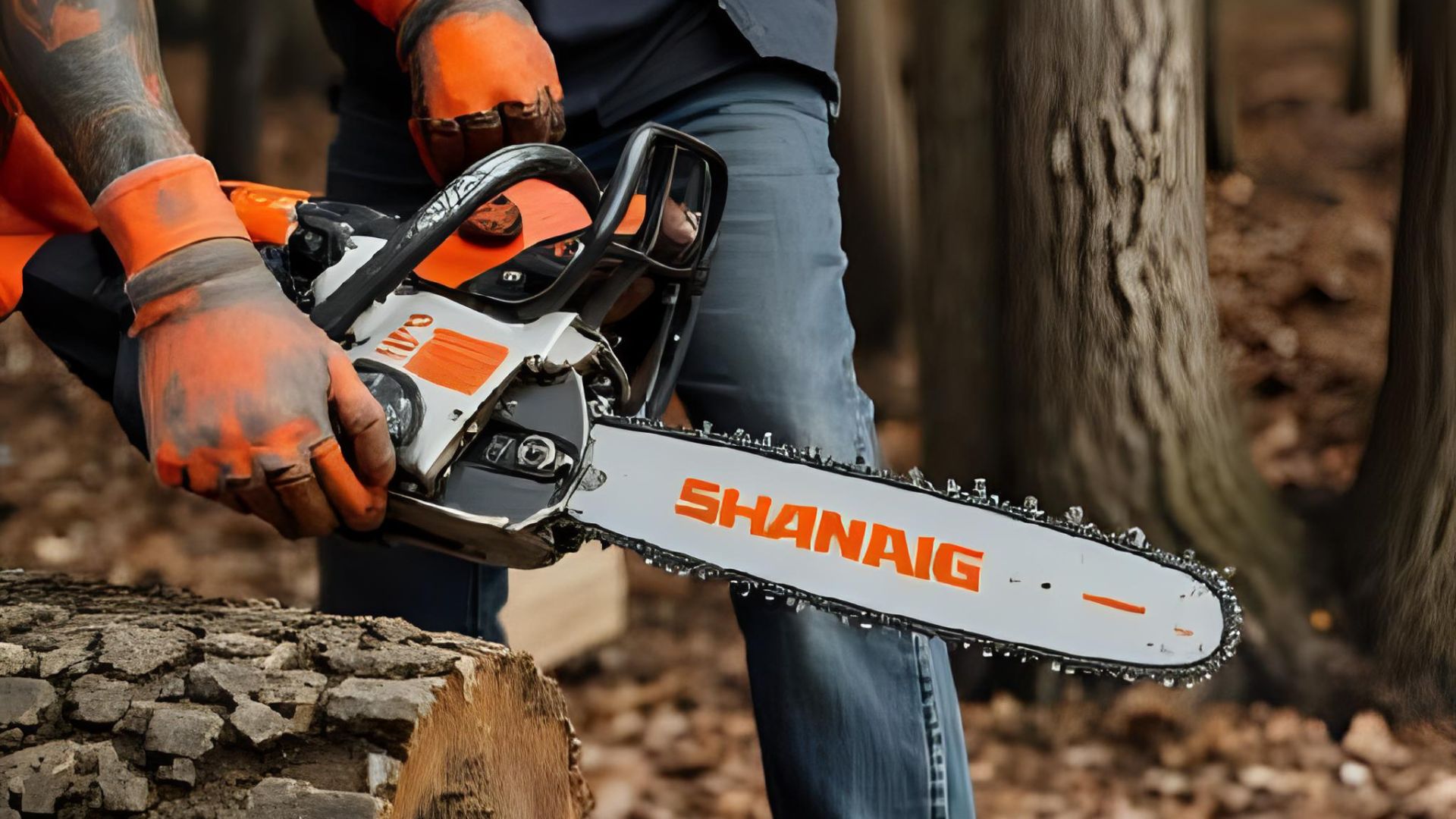 As 9 Melhores Motosserras 2025