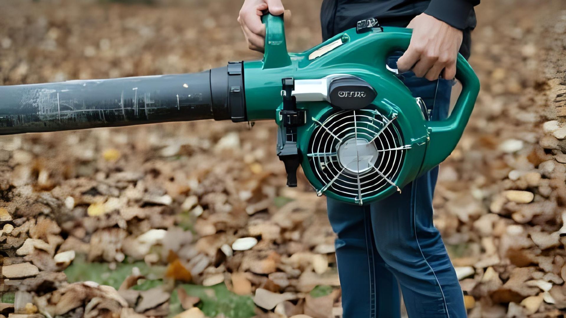 Os 10 Melhores Sopradores de Folhas 2025